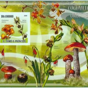A1467- SAO TOME E PRINCIPE, ERROR IMPERF Souvenir sheet: 2009 Mushrooms, Orchids