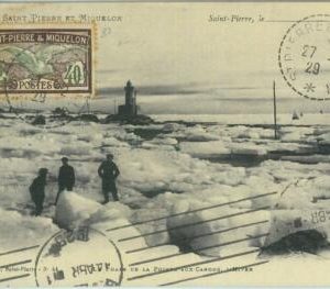 87585 - Saint Pierre and Miquelon - Postal History - POSTCARD to ARGENTINA Birds