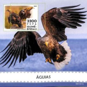 A7812 - Guinea-Bissau - ERROR MISPERF Stamp Sheet - 2021 BIRDS Eagles
