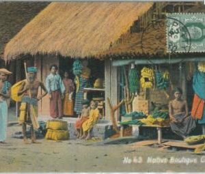 80391  -   CEYLON  - VINTAGE POSTCARD   -  Ethnic: FRUIT MARKET 1912