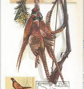 63574  -   HUNGARY - POSTAL HISTORY:  MAXIMUM CARD  1971 - HUNTING Birds