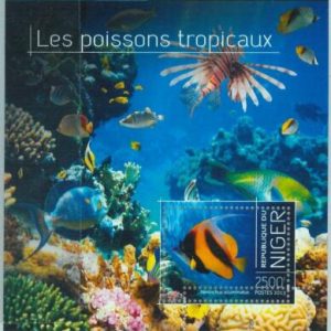 A1368 - NIGER, ERROR, МISPERF, Souvenir sheet: 2013, Tropical Fish, Marine Life