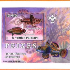 A6628 - SAO TOME & PRINCIPE, Error, 2007, MISSPERF SOUVENIR SHEET: Fish, Boy Sco