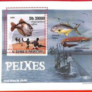 A3347 - SAO TOME & PRINCIPE, ERROR MISPERF, Souvenir sheet: 2009, Fish, Fishing