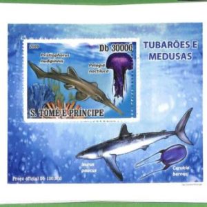 A3317- SAO TOME & PRINCIPE, ERROR MISSPERF: 2009, Sharks, Jellyfish, Medusas