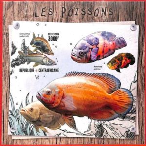 A3910 - Central African Rep - ERROR IMPERF, Souvenir sheet: 2016, Fish