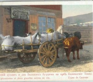 79767 - GEORGIA -   VINTAGE   POSTCARD  -  ETHNIC caucus