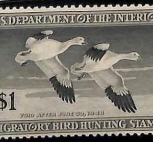 90216f -  USA - STAMPS: SCOTT # RW14  Migratory Bird Hunting Stamp MINT MNH 1947