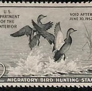 90217c - USA - STAMPS: SCOTT # RW18  1951  Migratory Bird Hunting Stamp MINT MNH