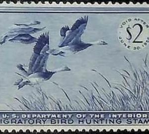 90217f - USA - STAMPS: SCOTT # RW22  1955  Migratory Bird Hunting Stamp MINT MNH