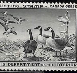 90218b -  USA - STAMPS: SCOTT # RW25  1956 Migratory Bird Hunting Stamp MINT MNH