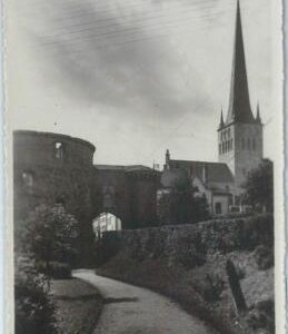 79670 - ESTONIA - VINTAGE   POSTCARD :  Photografic postcard REVAL Tallinn