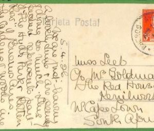 98663 - ARGENTINA - POSTAL HISTORY - POSTCARD to SOUTH AFRICA 1926