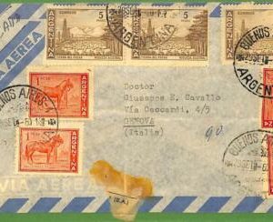 98672  - ARGENTINA - POSTAL HISTORY - Airmail COVER to ITALY  -  1960
