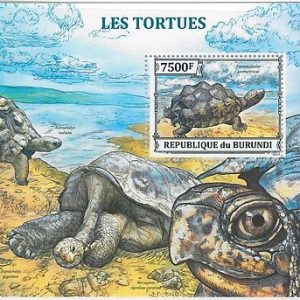 BURUNDI - ERROR, 2013 MISSPERF SHEET: TURTLES, MARINE LIFE, NATURE, ANIMALS