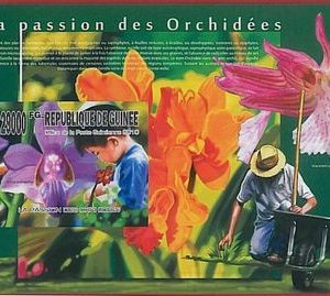 FRENCH GUINEA - ERROR, 2010 IMPERF SHEET: FLOWERS, Orchids