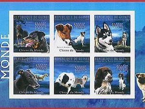 FRENCH GUINEA - ERROR, 2009 IMPERF SHEET: DOGS, Domestic Animals