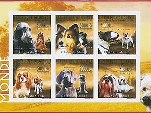 FRENCH GUINEA - ERROR, 2009 IMPERF SHEET: DOGS, Domestic Animals