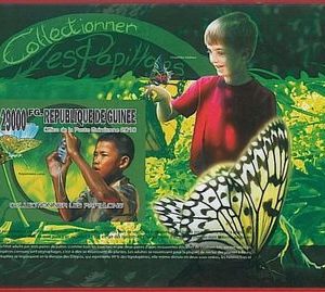 FRENCH GUINEA - ERROR, 2010 IMPERF SHEET: BUTTERFLIES