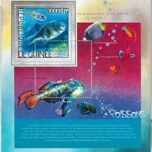 GUINEA - ERROR, 2014 MISSPERF SHEET: FISH, MARINE LIFE, ANIMALS