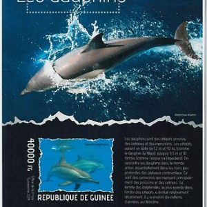 GUINEA - ERROR, 2014 MISSPERF SHEET: DOLPHINS, MARINE LIFE, ANIMALS
