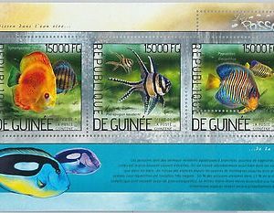 GUINEA - ERROR, 2014 MISSPERF SHEET: FISH, MARINE LIFE, ANIMALS
