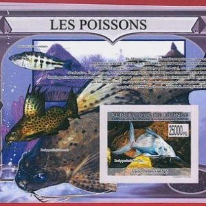 FRENCH GUINEA - ERROR, 2009 IMPERF SHEET: FISH, Marine life, Flora & Fauna