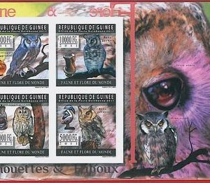 FRENCH GUINEA - ERROR, 2011 IMPERF SHEET: BIRDS, OWLS, Flora & Fauna