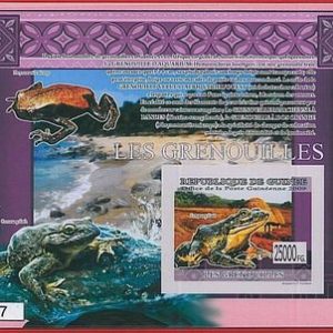 FRENCH GUINEA - ERROR, 2009 IMPERF SHEET: FROGS, Reptiles, Marine Life, Animals