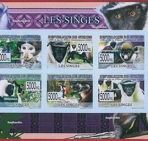 FRENCH GUINEA - ERROR, 2009 IMPERF SHEET: MONKEYS, Wild Animals