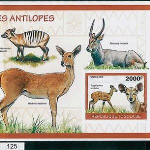 TOGO - ERROR, 2010 IMPERF SHEET: ANTELOPES, Wild Animals, Fauna, Nature, Safari