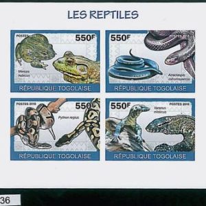 TOGO - ERROR, 2010 IMPERF SHEET: REPTILES, Snakes, Frogs, Lizards, Fauna, Nature