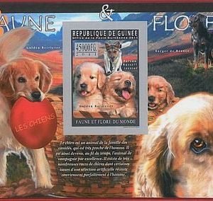 FRENCH GUINEA - ERROR, 2011 IMPERF SHEET: DOGS, Domestic Animals, Flora & Fauna