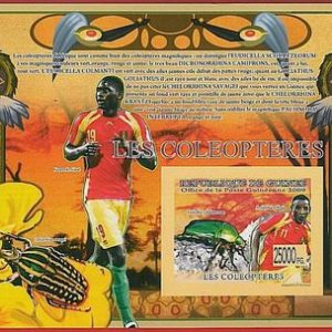 FRENCH GUINEA - ERROR, 2009 IMPERF SHEET: BEETLES, INSECTS, SOCCER