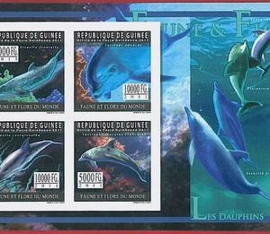 FRENCH GUINEA - ERROR, 2011 IMPERF SHEET: DOLPHINS, Marine life, Fauna and Flora