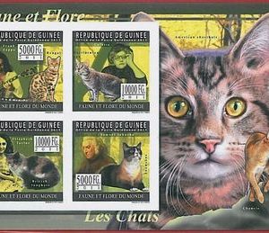 FRENCH GUINEA - ERROR, 2011 IMPERF SHEET: CATS, Fauna & Flora, F.Zappa, E.Taylor