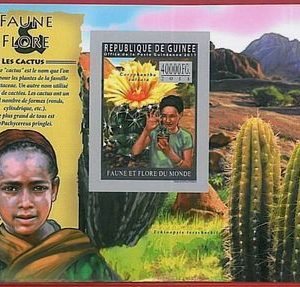 FRENCH GUINEA - ERROR, 2011 IMPERF SHEET: CACTUS, PLANTS, GARDEN, Flora & Fauna