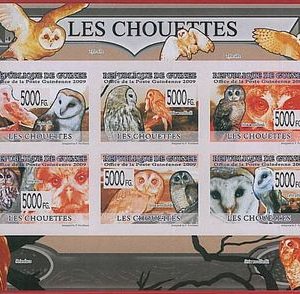FRENCH GUINEA - ERROR, 2009 IMPERF SHEET: BIRDS, OWLS, Animals