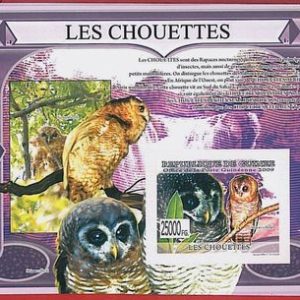 FRENCH GUINEA - ERROR, 2009 IMPERF SHEET: BIRDS, OWLS, Animals
