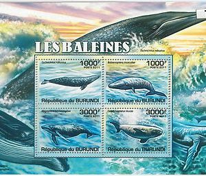 BURUNDI - ERROR, 2011 MISSPERF SHEET: WHALES, ANIMALS, MARINE LIFE