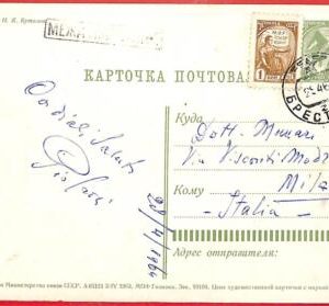 aa3128 - USSR Russia - POSTAL HISTORY -  STATIONERY CARD to ITALY - FLOWERS 1964
