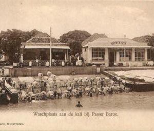 ad3936 - BELGIAN COLONIES - VINTAGE POSTCARD - Indonesia