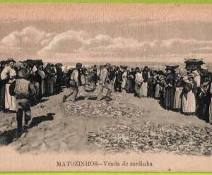 ad3823 - PORTUGAL - VINTAGE POSTCARD  - Matozinhos