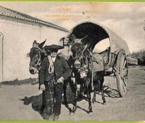 ad3864 - PORTUGAL - VINTAGE POSTCARD - Sines