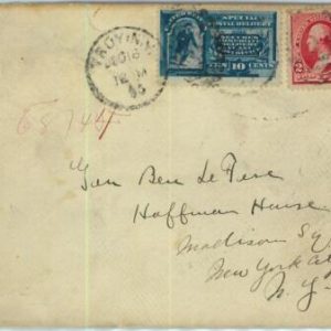 91359 - United  States USA - POSTAL HISTORY - Sc # E2 Special Delivery on Cover