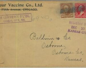 91380 - UNITED STATES USA - POSTAL HISTORY - EARLY Cover: CHICAGO 1900
