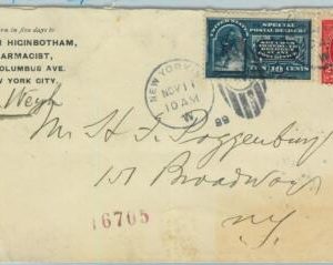 91358 - United  States USA - POSTAL HISTORY - Sc # E2 Special Delivery on Cover