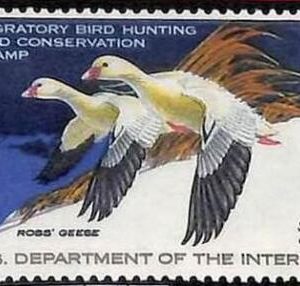90221a - USA - STAMPS: SCOTT # RW44  1977  Migratory Bird Hunting Stamp MINT MNH