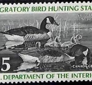 90220f - USA - STAMPS: SCOTT # RW43  1976  Migratory Bird Hunting Stamp MINT MNH
