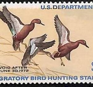 90220a - USA - STAMPS: SCOTT # RW38  1971  Migratory Bird Hunting Stamp MINT MNH